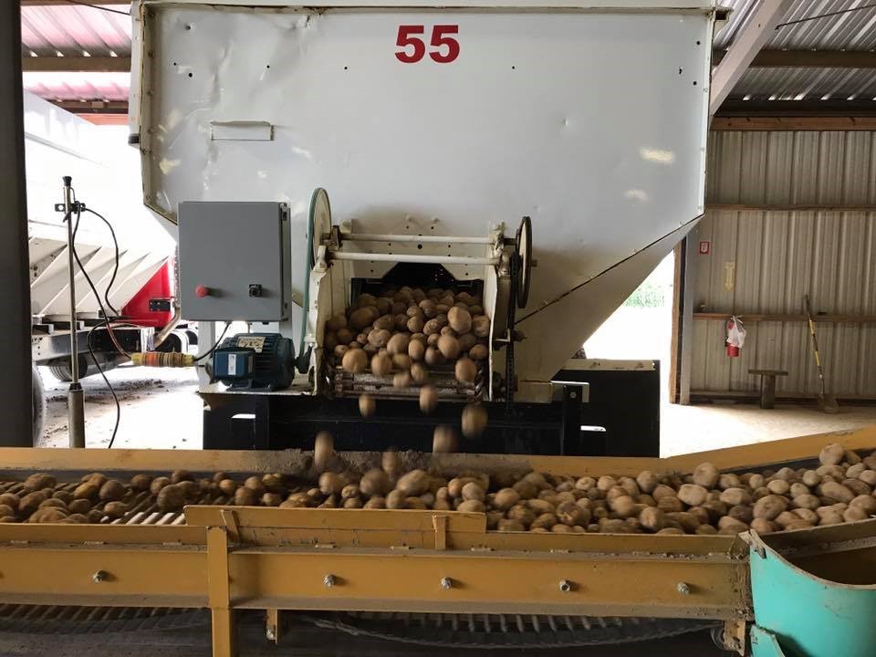 coombs farm potatoes