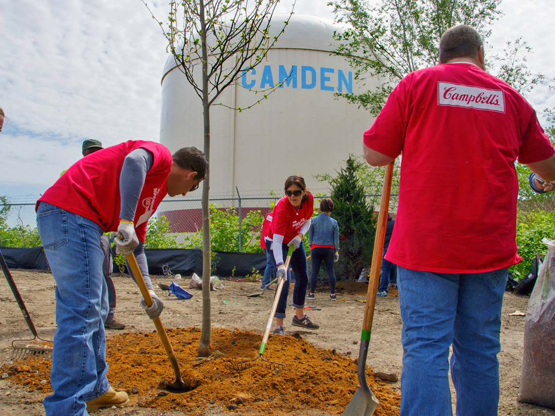 Campbell Employees Planting Trees in Camden