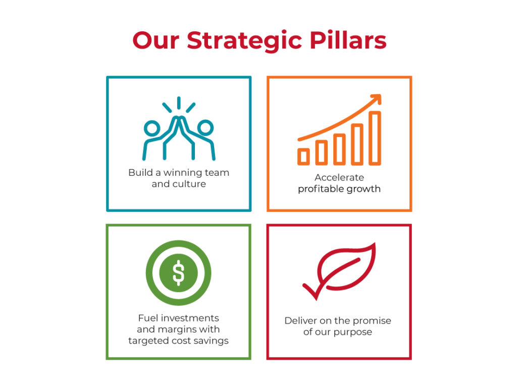 Our Strategic Pillars